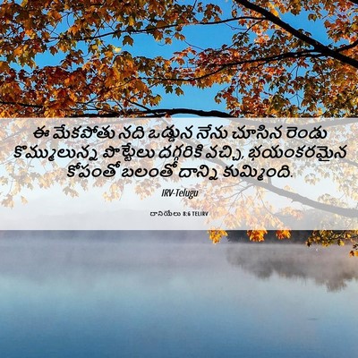 Picture 06 - దానియేలు 8:6 TELIRV - ఈ మేకపోతు నది - Bible Verse Picture