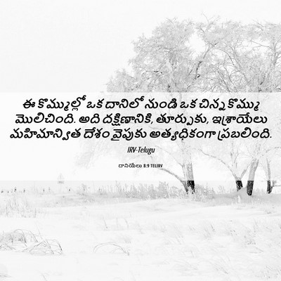 Picture 06 - దానియేలు 8:9 TELIRV - ఈ కొమ్ముల్లో ఒక - Bible Verse Picture