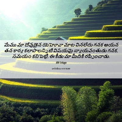 Picture 06 - దానియేలు 9:14 TELIRV - మేము మా దేవుడైన - Bible Verse Picture
