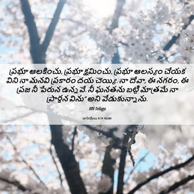 Picture 06 - దానియేలు 9:19 TELIRV - ప్రభూ ఆలకించు, - Bible Verse Picture