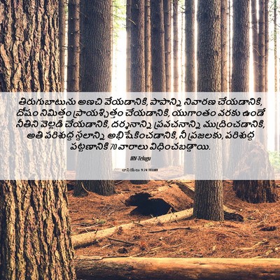 Picture 06 - దానియేలు 9:24 TELIRV - తిరుగుబాటును అణచి - Bible Verse Picture