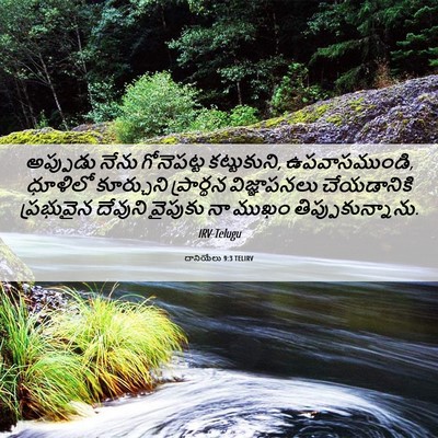 Picture 06 - దానియేలు 9:3 TELIRV - అప్పుడు నేను - Bible Verse Picture