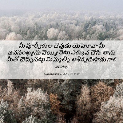 Picture 06 - ద్వితీయోపదేశ కాండము 1:11 TELIRV - మీ పూర్వీకుల - Bible Verse Picture