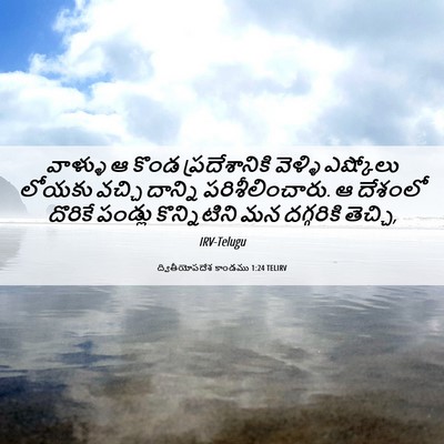 Picture 06 - ద్వితీయోపదేశ కాండము 1:24 TELIRV - వాళ్ళు ఆ కొండ - Bible Verse Picture