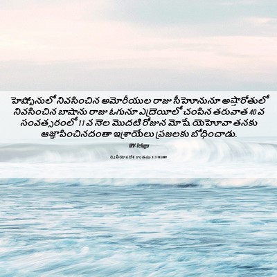 Picture 06 - ద్వితీయోపదేశ కాండము 1:3 TELIRV - హెష్బోనులో - Bible Verse Picture
