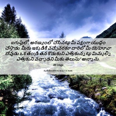 Picture 06 - ద్వితీయోపదేశ కాండము 1:31 TELIRV - ఐగుప్తులో, - Bible Verse Picture