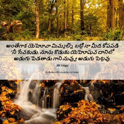 Picture 06 - ద్వితీయోపదేశ కాండము 1:37 TELIRV - అంతేగాక యెహోవా - Bible Verse Picture