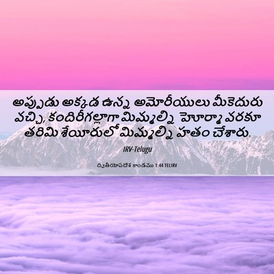 Picture 06 - ద్వితీయోపదేశ కాండము 1:44 TELIRV - అప్పుడు అక్కడ - Bible Verse Picture