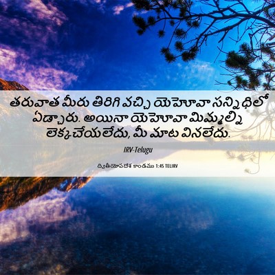 Picture 06 - ద్వితీయోపదేశ కాండము 1:45 TELIRV - తరువాత మీరు - Bible Verse Picture