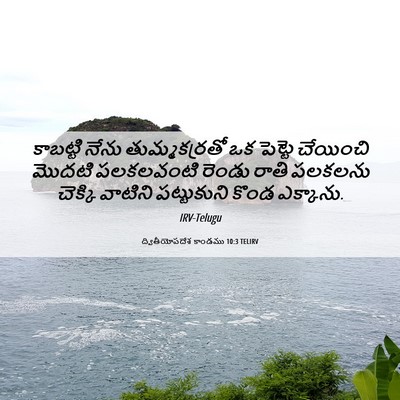 Picture 06 - ద్వితీయోపదేశ కాండము 10:3 TELIRV - కాబట్టి నేను - Bible Verse Picture