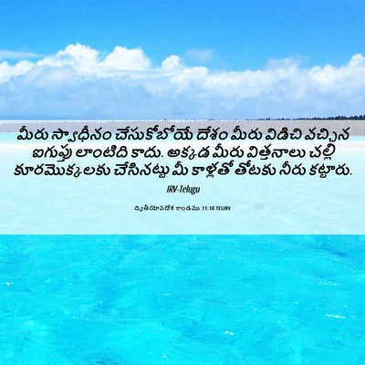 Picture 06 - ద్వితీయోపదేశ కాండము 11:10 TELIRV - మీరు స్వాధీనం - Bible Verse Picture