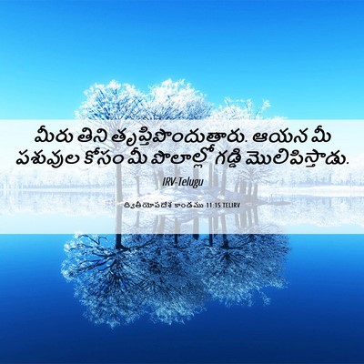 Picture 06 - ద్వితీయోపదేశ కాండము 11:15 TELIRV - మీరు తిని - Bible Verse Picture