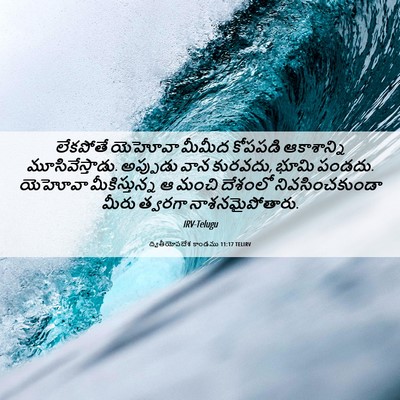 Picture 06 - ద్వితీయోపదేశ కాండము 11:17 TELIRV - లేకపోతే యెహోవా - Bible Verse Picture