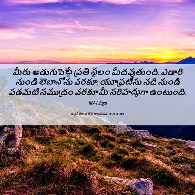 Picture 06 - ద్వితీయోపదేశ కాండము 11:24 TELIRV - మీరు అడుగుపెట్టే - Bible Verse Picture