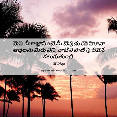 Picture 06 - ద్వితీయోపదేశ కాండము 11:27 TELIRV - నేను - Bible Verse Picture
