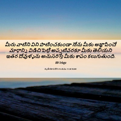 Picture 06 - ద్వితీయోపదేశ కాండము 11:28 TELIRV - మీరు వాటిని విని - Bible Verse Picture