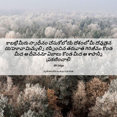 Picture 06 - ద్వితీయోపదేశ కాండము 11:29 TELIRV - కాబట్టి మీరు - Bible Verse Picture