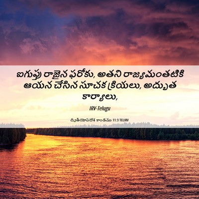 Picture 06 - ద్వితీయోపదేశ కాండము 11:3 TELIRV - ఐగుప్తు రాజైన - Bible Verse Picture