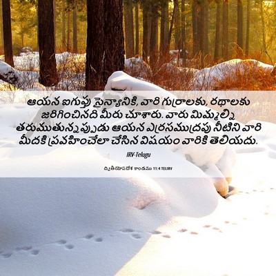 Picture 06 - ద్వితీయోపదేశ కాండము 11:4 TELIRV - ఆయన ఐగుప్తు - Bible Verse Picture