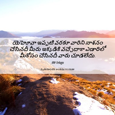 Picture 06 - ద్వితీయోపదేశ కాండము 11:5 TELIRV - యెహోవా ఇప్పటి - Bible Verse Picture