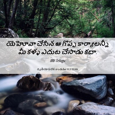 Picture 06 - ద్వితీయోపదేశ కాండము 11:7 TELIRV - యెహోవా చేసిన ఆ - Bible Verse Picture