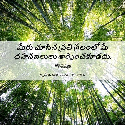Picture 06 - ద్వితీయోపదేశ కాండము 12:13 TELIRV - మీరు చూసిన ప్రతి - Bible Verse Picture