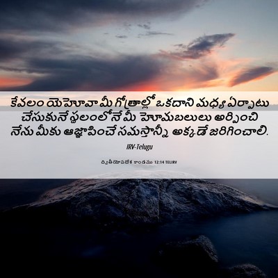 Picture 06 - ద్వితీయోపదేశ కాండము 12:14 TELIRV - కేవలం యెహోవా మీ - Bible Verse Picture