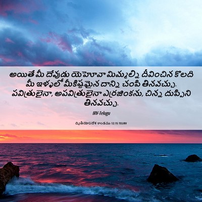 Picture 06 - ద్వితీయోపదేశ కాండము 12:15 TELIRV - అయితే మీ దేవుడు - Bible Verse Picture