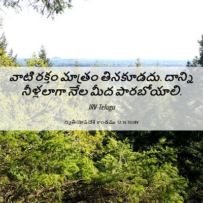Picture 06 - ద్వితీయోపదేశ కాండము 12:16 TELIRV - వాటి రక్తం మాత్రం - Bible Verse Picture