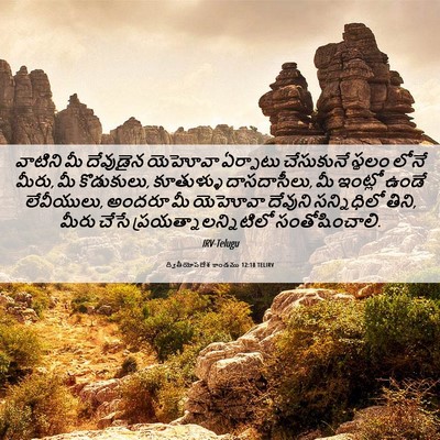 Picture 06 - ద్వితీయోపదేశ కాండము 12:18 TELIRV - వాటిని మీ దేవుడైన - Bible Verse Picture