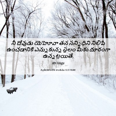 Picture 06 - ద్వితీయోపదేశ కాండము 12:21 TELIRV - నీ దేవుడు యెహోవా - Bible Verse Picture