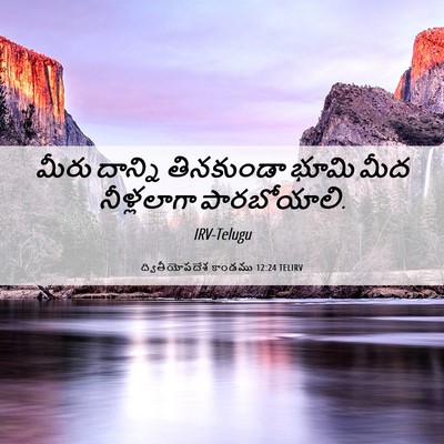 Picture 06 - ద్వితీయోపదేశ కాండము 12:24 TELIRV - మీరు దాన్ని - Bible Verse Picture