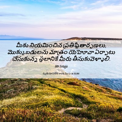 Picture 06 - ద్వితీయోపదేశ కాండము 12:26 TELIRV - మీకు నియమించిన - Bible Verse Picture