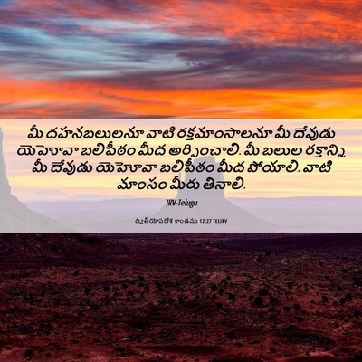 Picture 06 - ద్వితీయోపదేశ కాండము 12:27 TELIRV - మీ దహనబలులనూ వాటి - Bible Verse Picture