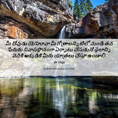 Picture 06 - ద్వితీయోపదేశ కాండము 12:5 TELIRV - మీ దేవుడు యెహోవా - Bible Verse Picture