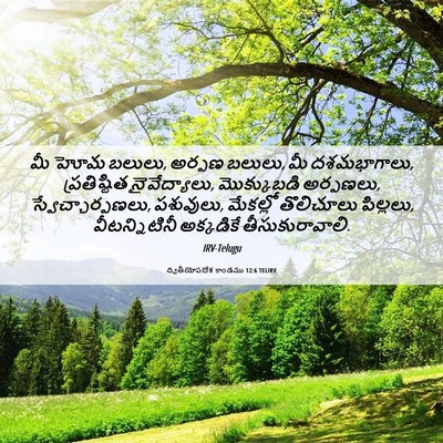 Picture 06 - ద్వితీయోపదేశ కాండము 12:6 TELIRV - మీ హోమ బలులు, అర్పణ - Bible Verse Picture