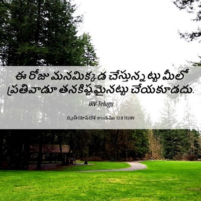 Picture 06 - ద్వితీయోపదేశ కాండము 12:8 TELIRV - ఈ రోజు మనమిక్కడ - Bible Verse Picture