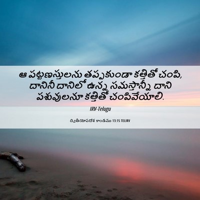 Picture 06 - ద్వితీయోపదేశ కాండము 13:15 TELIRV - ఆ పట్టణస్తులను - Bible Verse Picture