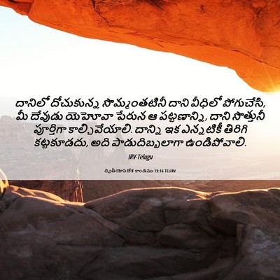 Picture 06 - ద్వితీయోపదేశ కాండము 13:16 TELIRV - దానిలో దోచుకున్న - Bible Verse Picture