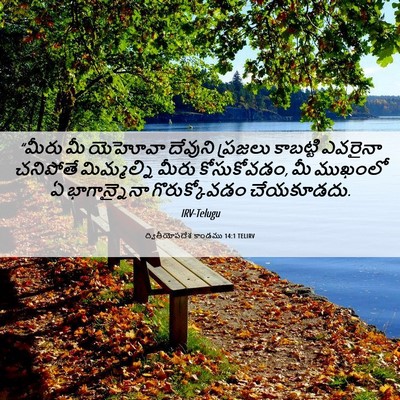Picture 06 - ద్వితీయోపదేశ కాండము 14:1 TELIRV - “మీరు మీ యెహోవా - Bible Verse Picture
