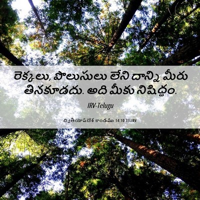 Picture 06 - ద్వితీయోపదేశ కాండము 14:10 TELIRV - రెక్కలు, పొలుసులు - Bible Verse Picture