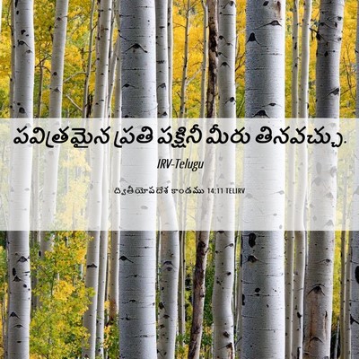 Picture 06 - ద్వితీయోపదేశ కాండము 14:11 TELIRV - పవిత్రమైన ప్రతి - Bible Verse Picture