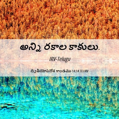 Picture 06 - ద్వితీయోపదేశ కాండము 14:14 TELIRV - అన్ని రకాల - Bible Verse Picture