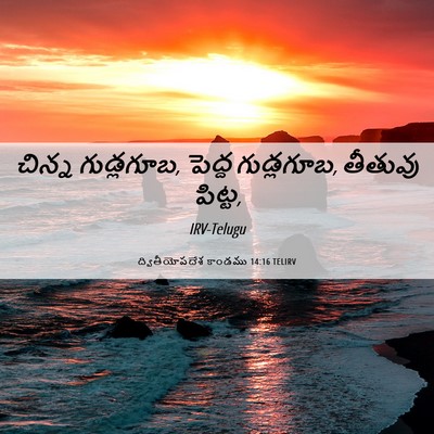 Picture 06 - ద్వితీయోపదేశ కాండము 14:16 TELIRV - చిన్న గుడ్లగూబ, - Bible Verse Picture