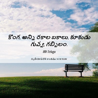 Picture 06 - ద్వితీయోపదేశ కాండము 14:18 TELIRV - కొంగ, అన్ని రకాల - Bible Verse Picture