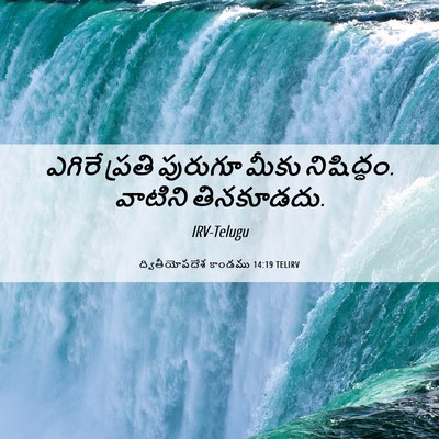 Picture 06 - ద్వితీయోపదేశ కాండము 14:19 TELIRV - ఎగిరే ప్రతి - Bible Verse Picture