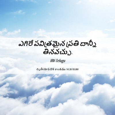 Picture 06 - ద్వితీయోపదేశ కాండము 14:20 TELIRV - ఎగిరే పవిత్రమైన - Bible Verse Picture