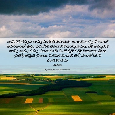 Picture 06 - ద్వితీయోపదేశ కాండము 14:21 TELIRV - దానికదే చచ్చిన - Bible Verse Picture