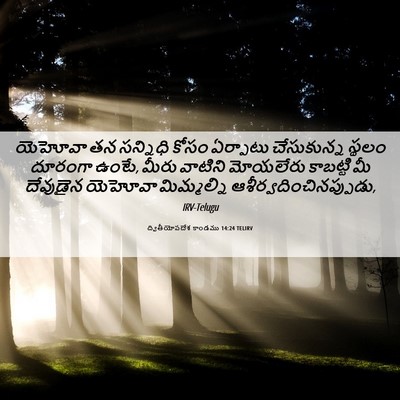Picture 06 - ద్వితీయోపదేశ కాండము 14:24 TELIRV - యెహోవా తన సన్నిధి - Bible Verse Picture