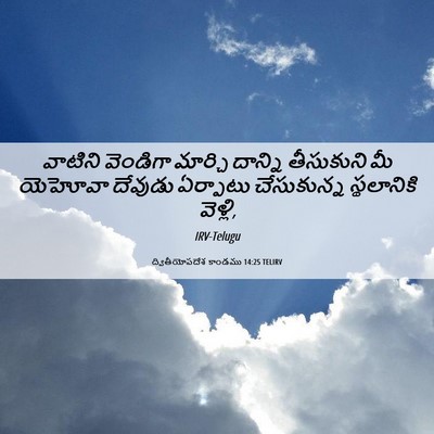 Picture 06 - ద్వితీయోపదేశ కాండము 14:25 TELIRV - వాటిని వెండిగా - Bible Verse Picture